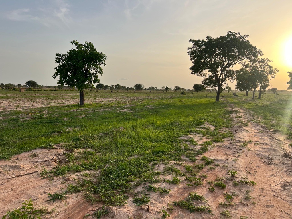 Jordarealet i Ghana